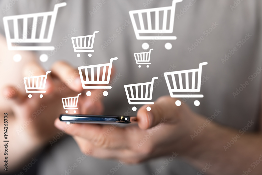 Web Hosting and Ecommerce