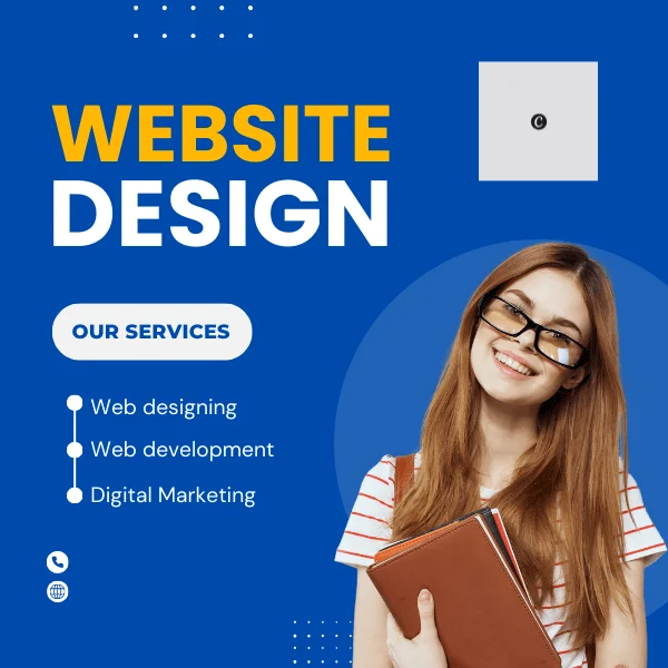 professional web development